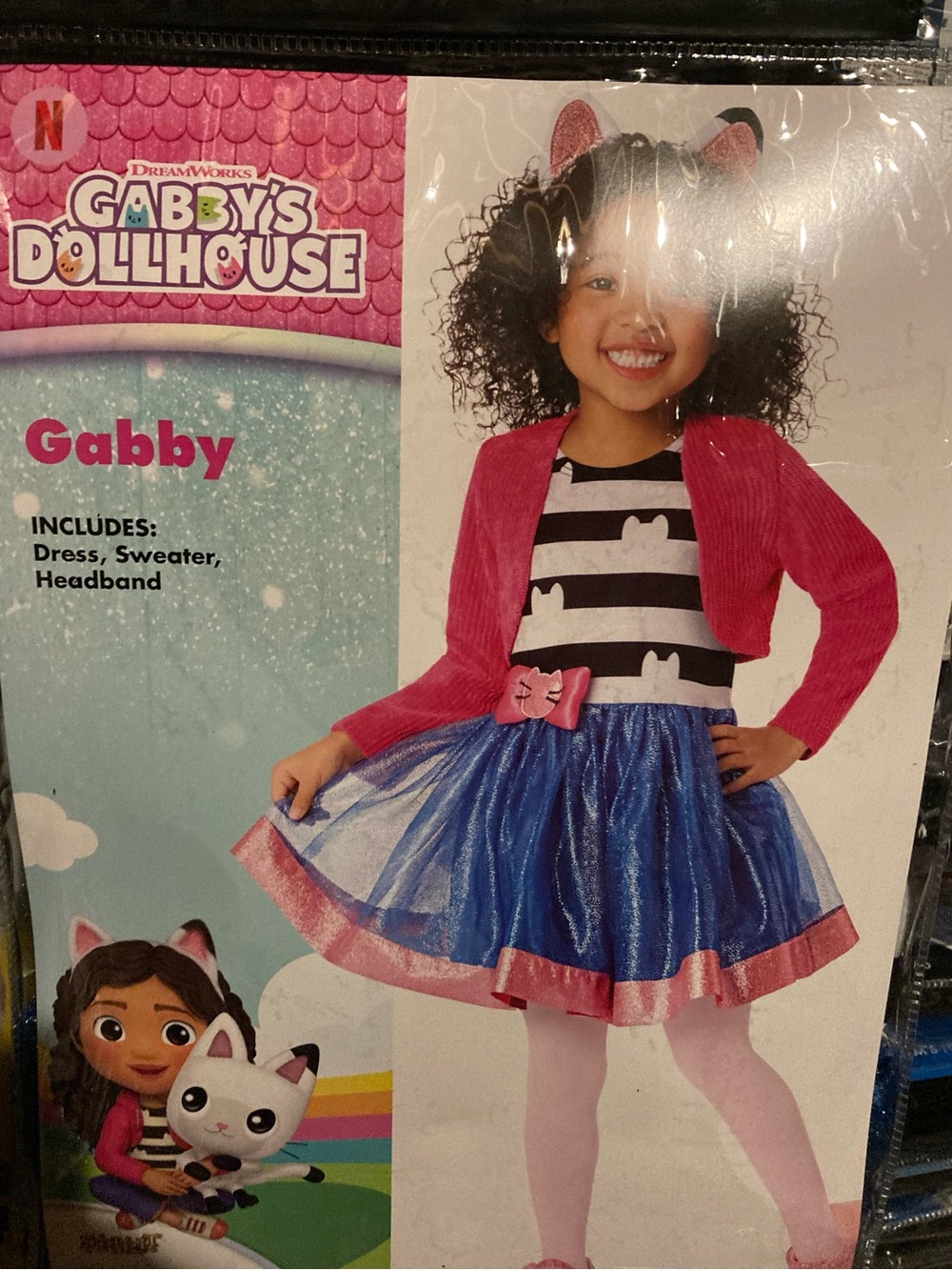 Toddler Gabby Dress Costume - Gabby's Dollhouse 5-6t